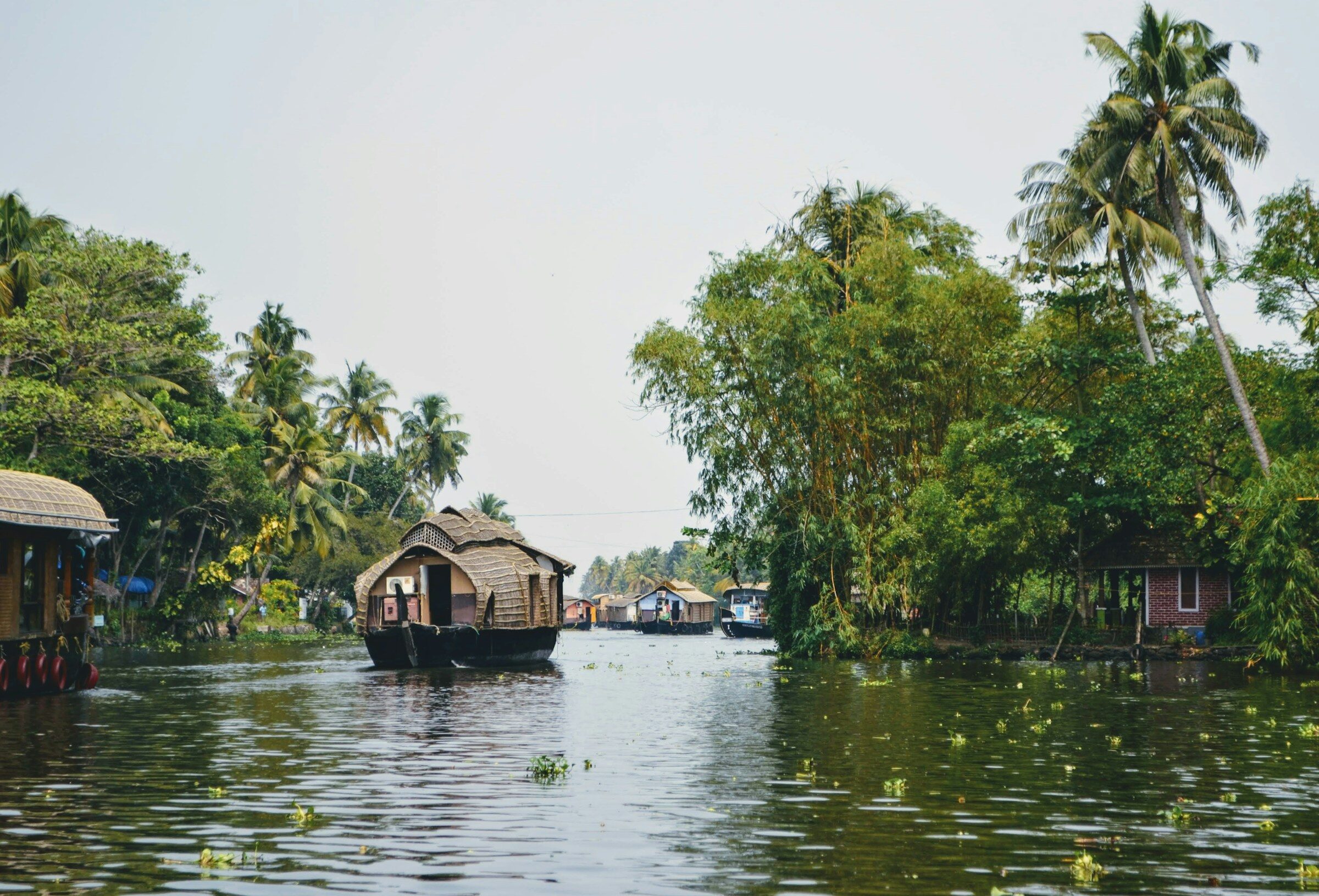 Houseboats moored along a tree-lined Kerala backwater