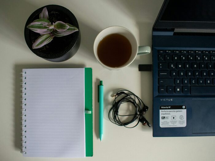 How to Get a Website for Your Business: DIY, Freelancer or Agency?