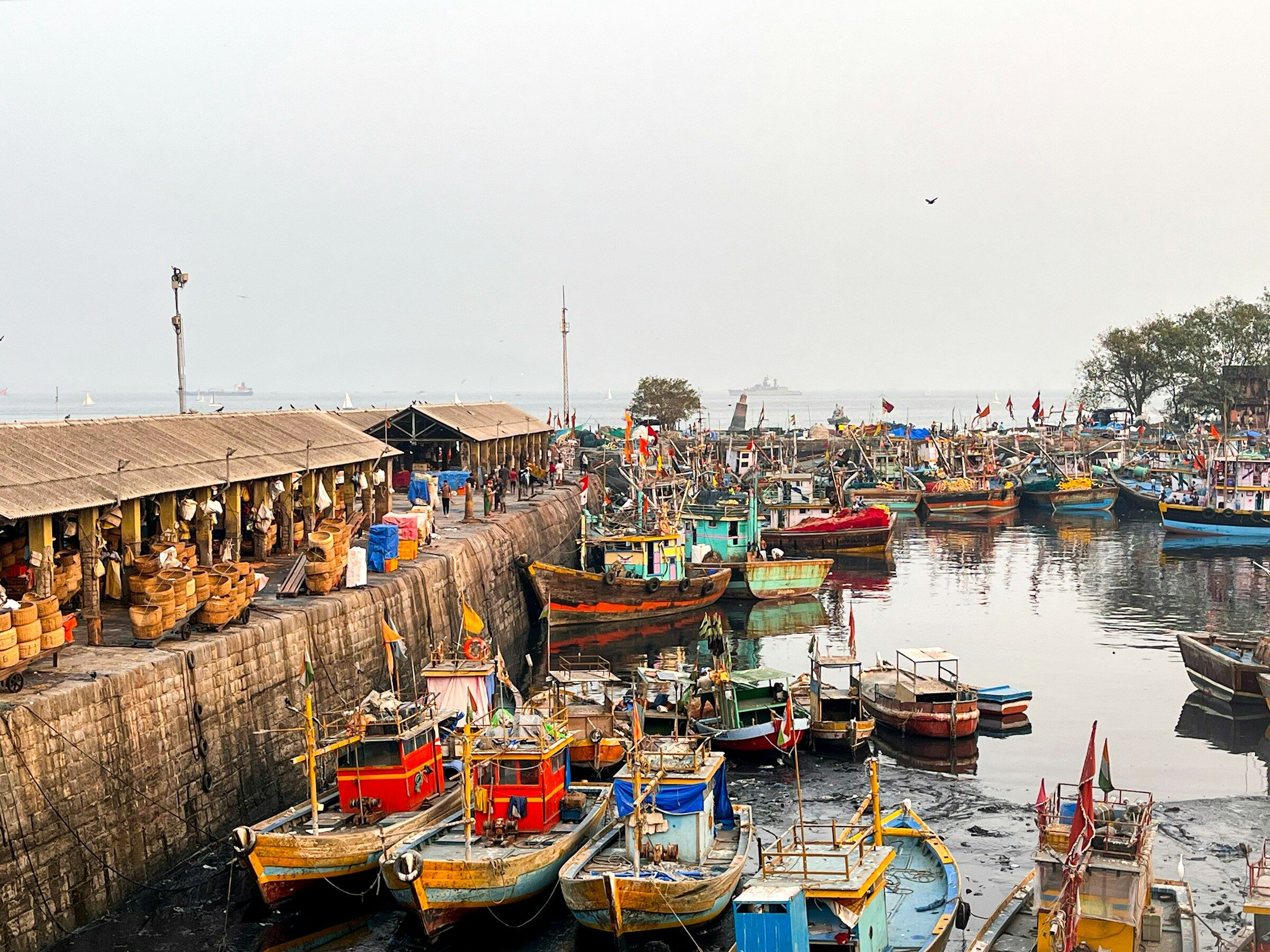 Colourful fishing boats packed into a Mumbai harbour