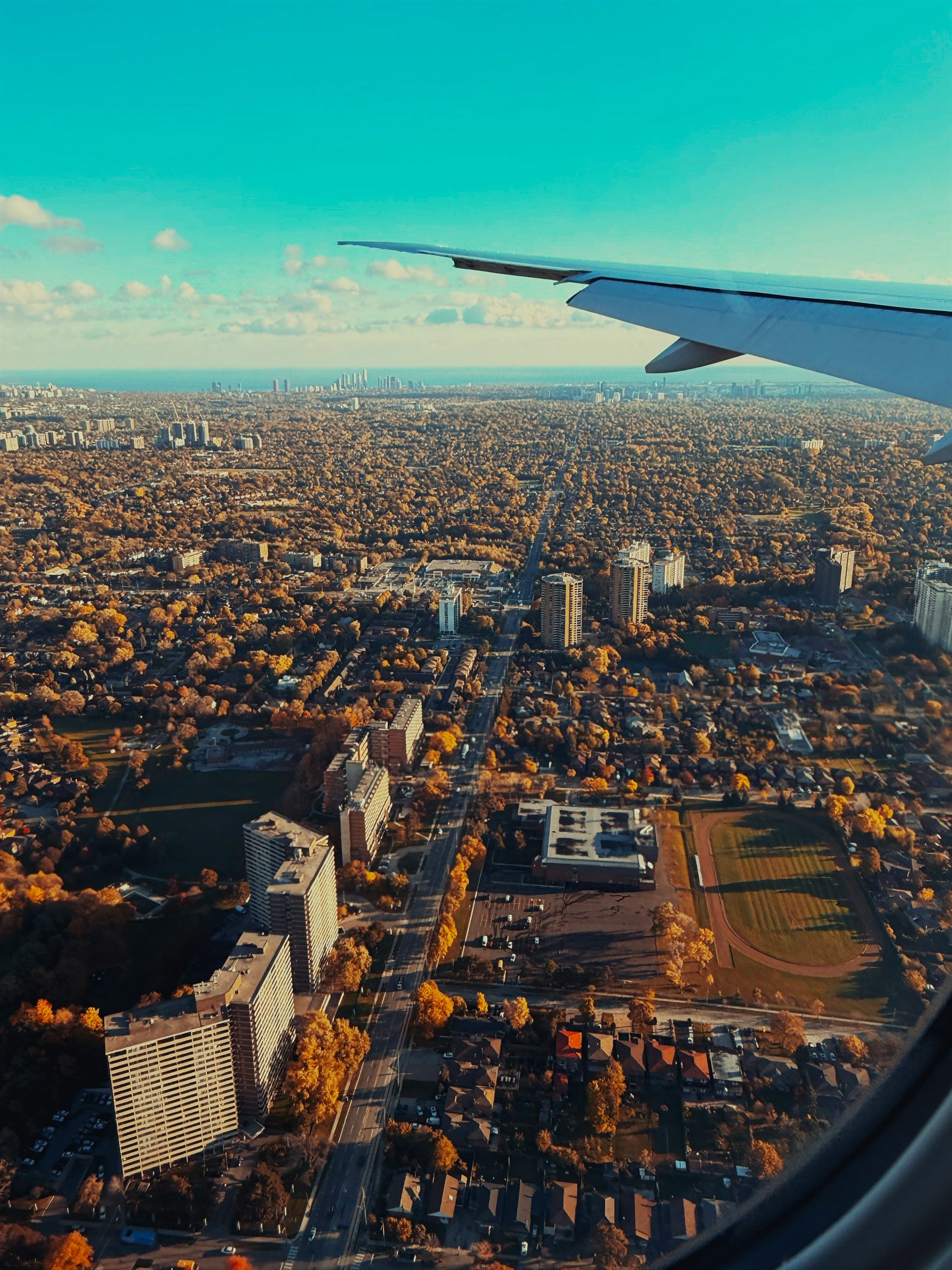Aerial view of a city skyline behind autumn trees